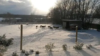 Ferienhof Laurentius im Winter