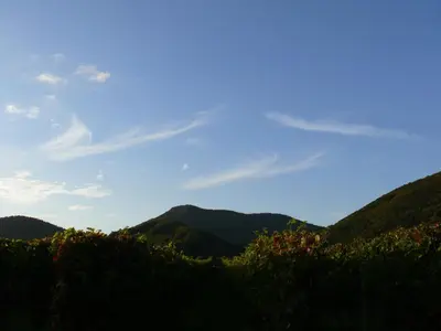 Naturlandschaft in der Nähe des Hotels