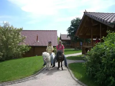 Gäste, die in der Unterkunft Ferienhof Pfeiffer übernachten