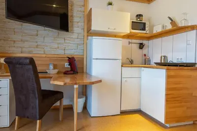 Küche/Küchenzeile in der Unterkunft Apartmenthaus Erlenbach