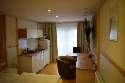 Küche/Küchenzeile in der Unterkunft Apartmenthaus Erlenbach