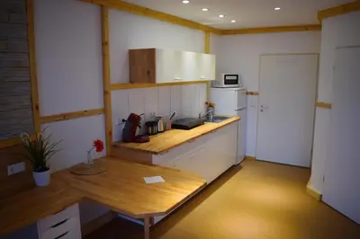 Küche/Küchenzeile in der Unterkunft Apartmenthaus Erlenbach