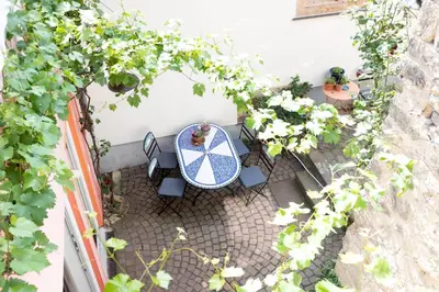 Ein Garten an der Unterkunft Klimatisiertes Loft im Herzen von Deidesheim