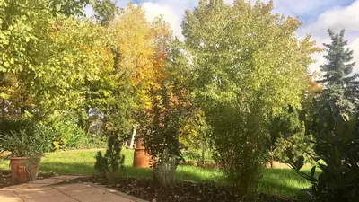 Ein Garten an der Unterkunft Ferienhaus Kleine Pfalz