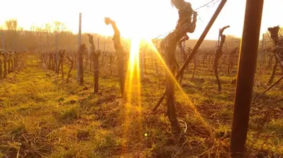 Blick auf den Sonnenuntergang/Sonnenaufgang von des Bed & Breakfasts aus oder aus der Nähe