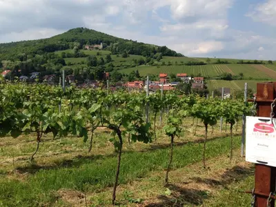 Naturlandschaft in der Nähe des Bed & Breakfasts