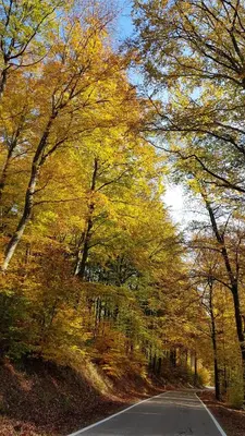 Naturlandschaft in der Nähe des Bed & Breakfasts