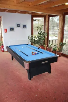 Ein Billardtisch in der Unterkunft Villa Waldeck