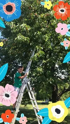 Ein Garten an der Unterkunft Ferien- und Monteurswohnung Heilbrunnen
