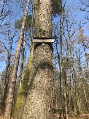 Naturlandschaft in der Nähe der Ferienwohnung
