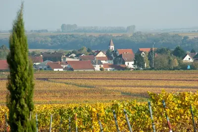 Naturlandschaft in der Nähe des Hotels