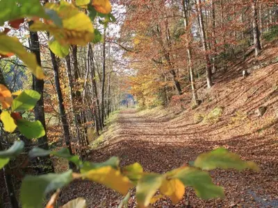 Naturlandschaft in der Nähe des Ferienhauses