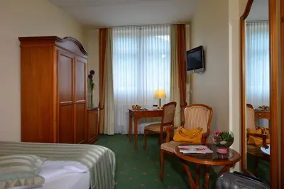 TV/Unterhaltungsangebot in der Unterkunft City Partner Hotel Holländer Hof