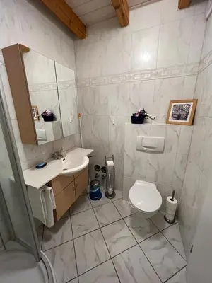Ein Badezimmer in der Unterkunft Glattbacher Hof Ferienwohnung 8