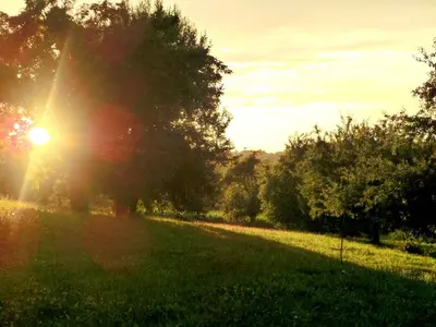 Grundriss der Unterkunft Ferienhaus in der Obstwiese
