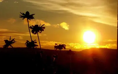 Blick auf den Sonnenuntergang/Sonnenaufgang von der Ferienwohnung aus oder aus der Nähe