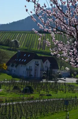 Naturlandschaft in der Nähe des Hotels