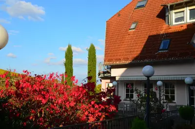 Ein Garten an der Unterkunft Castell Hotel & Restaurant