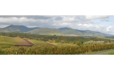 Naturlandschaft in der Nähe des Hotels