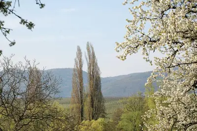 Naturlandschaft in der Nähe des Hotels