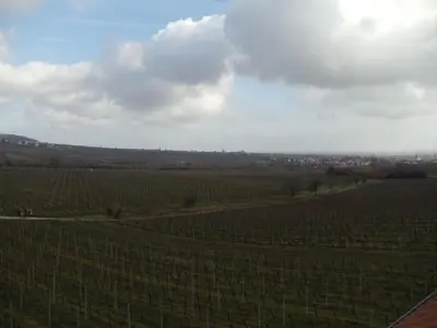 Naturlandschaft in der Nähe des Hotels