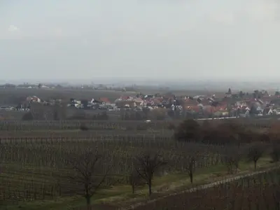 Grundriss der Unterkunft Weinhotel Kienle