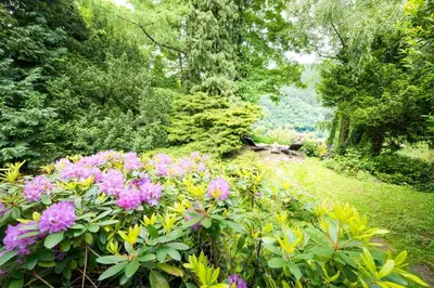 Ein Garten an der Unterkunft Parkhotel Atlantic