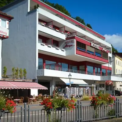 Hotel Harzer am Kurpark
