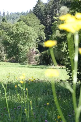 Naturlandschaft in der Nähe des Hotels