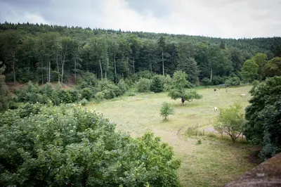 Naturlandschaft in der Nähe des Hotels
