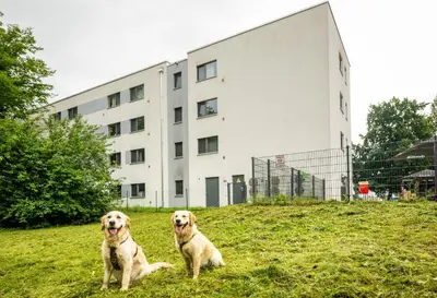 Haustiere von Gästen der Unterkunft Serways Hotel Bruchsal West
