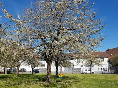 Ein Garten an der Unterkunft Ferienwohnung/Monteurwohnung im schönen Odenwald