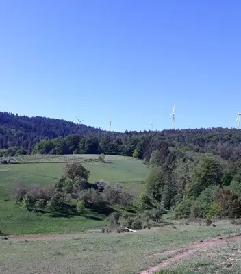 Naturlandschaft in der Nähe des Ferienhauses