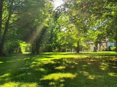 Ein Garten an der Unterkunft Schloss Sennfeld - Hotel & Restaurant & Veranstaltungsort
