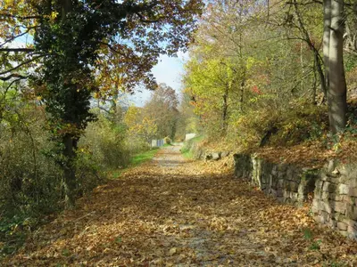 Naturlandschaft in der Nähe der Ferienwohnung