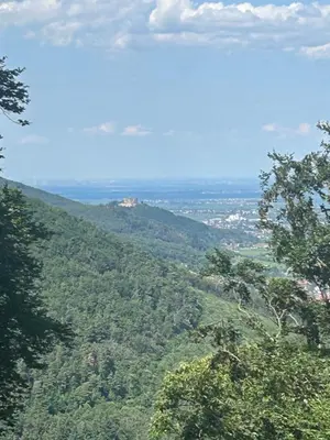 Naturlandschaft in der Nähe des Hotels