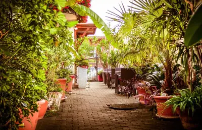 Ein Garten an der Unterkunft Zum Riesen