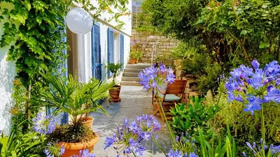 Ein Garten an der Unterkunft Ferienwohnung am Bruchwald
