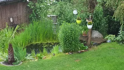 Ein Garten an der Unterkunft Ferienwohnung am Bruchwald