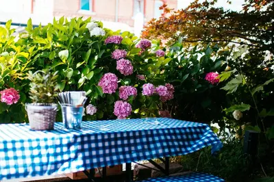 Ein Garten an der Unterkunft Gasthaus & Hotel Bischoff