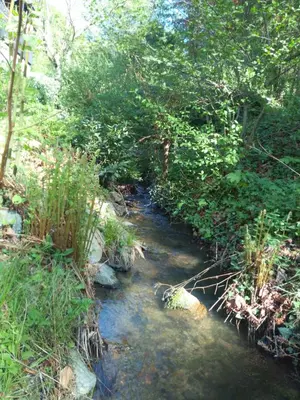 Naturlandschaft in der Nähe der Ferienwohnung