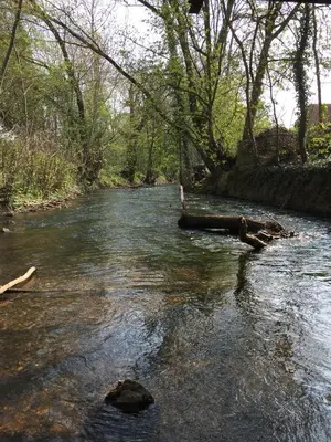 Naturlandschaft in der Nähe der Ferienwohnung
