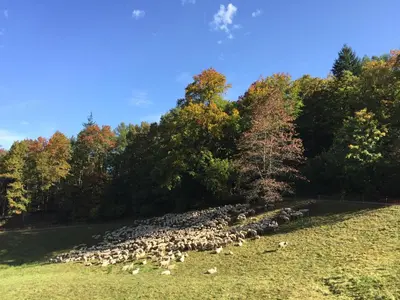 Naturlandschaft in der Nähe des Hotels
