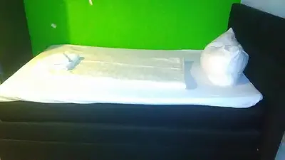 Ein Bett oder Betten in einem Zimmer der Unterkunft WOHNUNG IN KAISERSLAUTERN