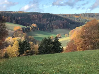 Naturlandschaft in der Nähe der Ferienwohnung