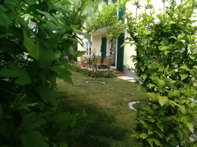 Ein Garten an der Unterkunft Kakteengarten
