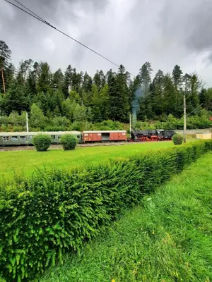 Ein Garten an der Unterkunft Ferienwohnung Am Wald