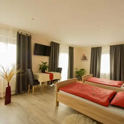 Mainzimmer - Business Apartments