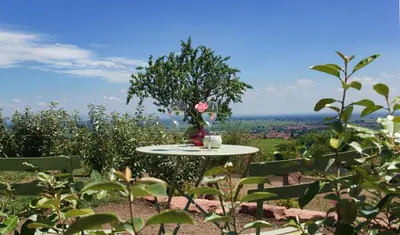 Naturlandschaft in der Nähe der Ferienwohnung