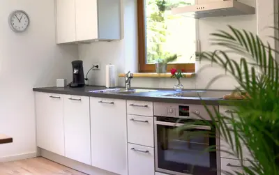 Küche/Küchenzeile in der Unterkunft Ferienwohnung Am Wingert